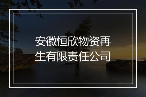 安徽恒欣物资再生有限责任公司
