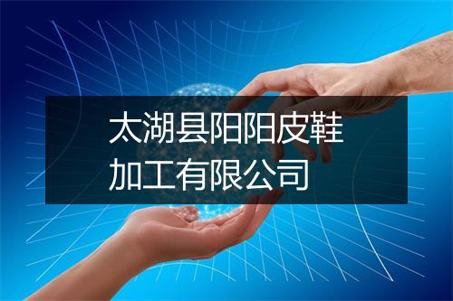 太湖县阳阳皮鞋加工有限公司
