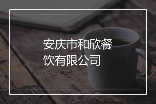 安庆市和欣餐饮有限公司