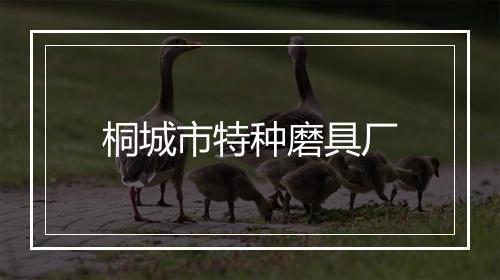 桐城市特种磨具厂