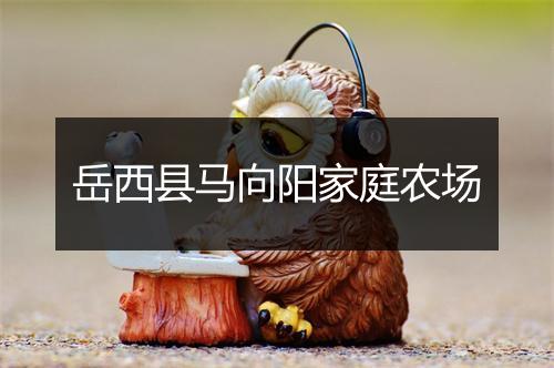 岳西县马向阳家庭农场