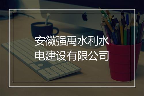 安徽强禹水利水电建设有限公司