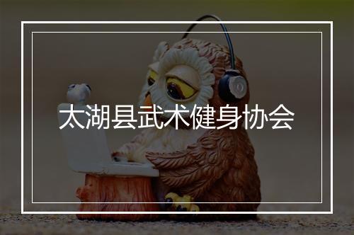 太湖县武术健身协会