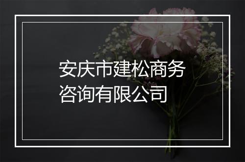 安庆市建松商务咨询有限公司