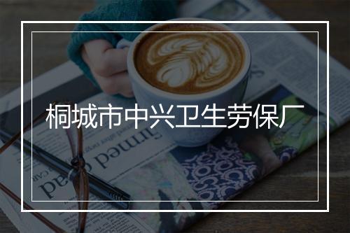 桐城市中兴卫生劳保厂