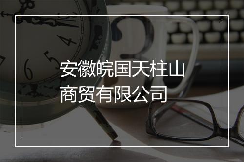 安徽皖国天柱山商贸有限公司