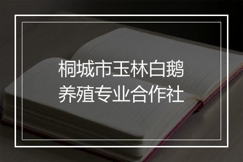 桐城市玉林白鹅养殖专业合作社