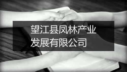 望江县凤林产业发展有限公司