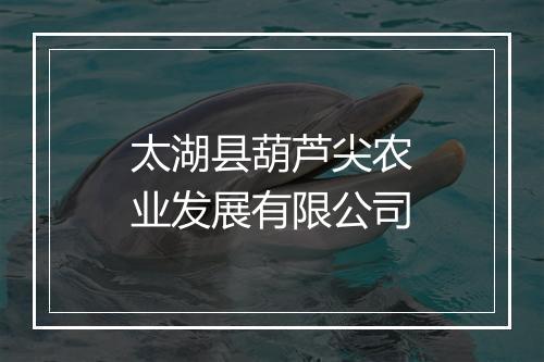太湖县葫芦尖农业发展有限公司