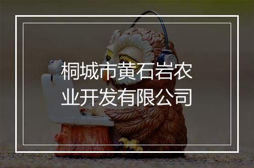 桐城市黄石岩农业开发有限公司