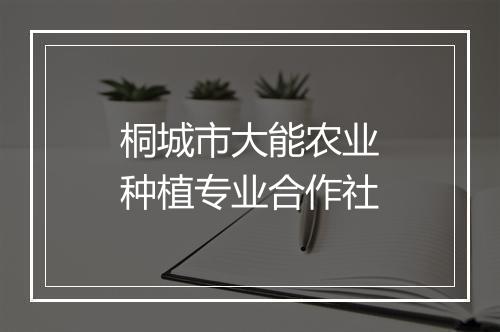 桐城市大能农业种植专业合作社