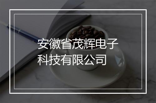 安徽省茂辉电子科技有限公司