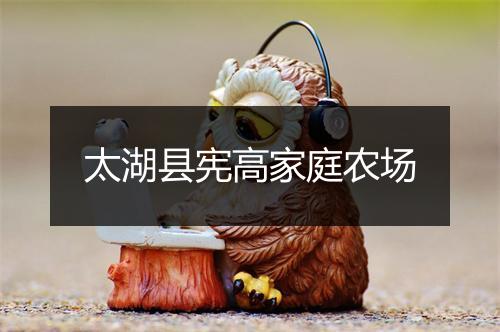 太湖县宪高家庭农场