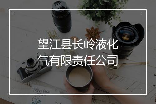 望江县长岭液化气有限责任公司