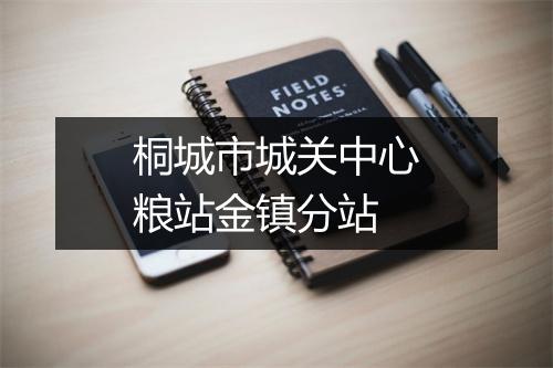 桐城市城关中心粮站金镇分站