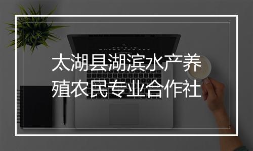 太湖县湖滨水产养殖农民专业合作社