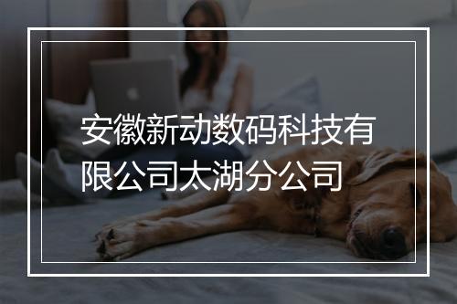 安徽新动数码科技有限公司太湖分公司