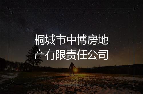 桐城市中博房地产有限责任公司