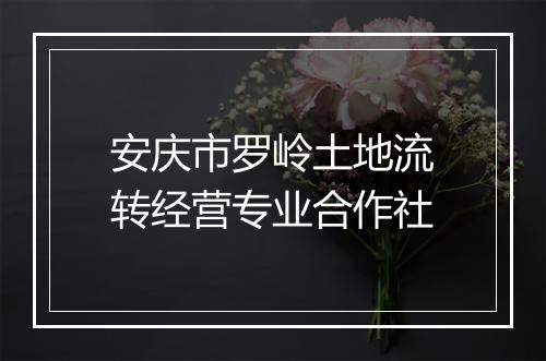 安庆市罗岭土地流转经营专业合作社