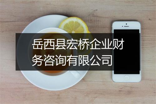 岳西县宏桥企业财务咨询有限公司