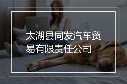 太湖县同发汽车贸易有限责任公司