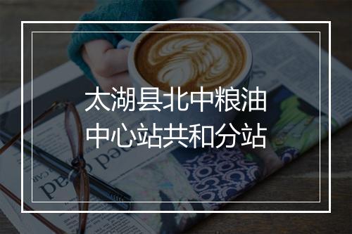 太湖县北中粮油中心站共和分站