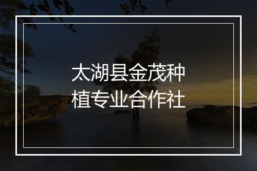太湖县金茂种植专业合作社