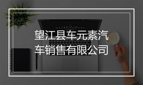 望江县车元素汽车销售有限公司