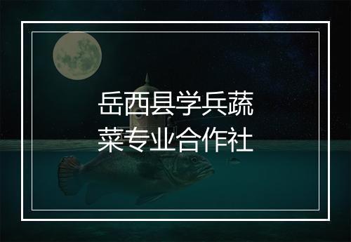 岳西县学兵蔬菜专业合作社