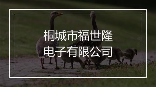 桐城市福世隆电子有限公司