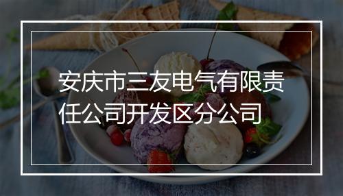 安庆市三友电气有限责任公司开发区分公司
