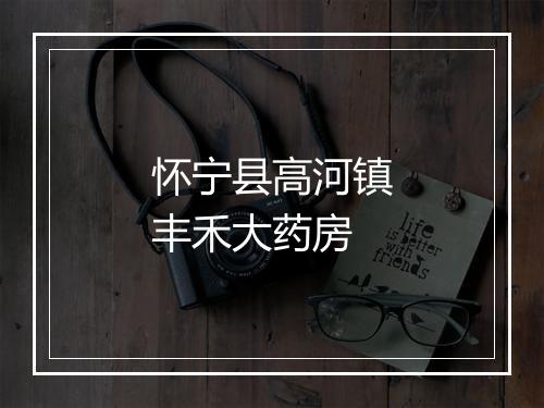 怀宁县高河镇丰禾大药房