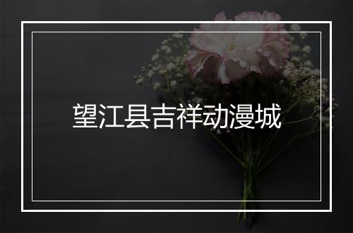 望江县吉祥动漫城