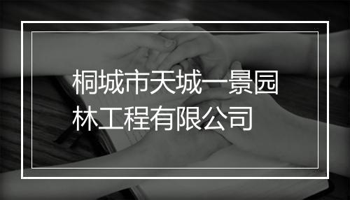桐城市天城一景园林工程有限公司