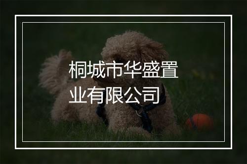 桐城市华盛置业有限公司