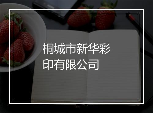 桐城市新华彩印有限公司