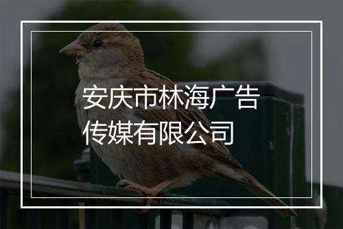 安庆市林海广告传媒有限公司