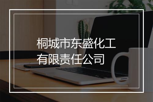 桐城市东盛化工有限责任公司