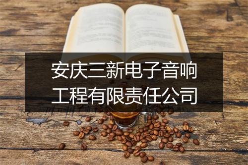 安庆三新电子音响工程有限责任公司