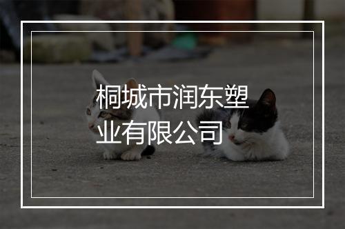 桐城市润东塑业有限公司
