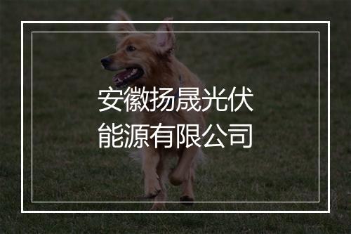 安徽扬晟光伏能源有限公司