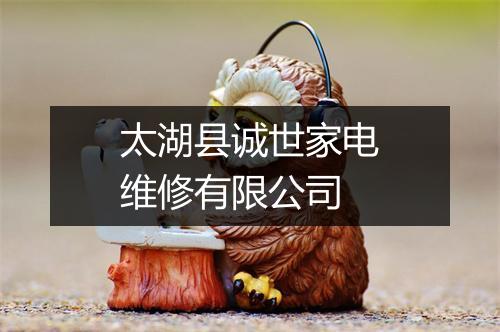 太湖县诚世家电维修有限公司