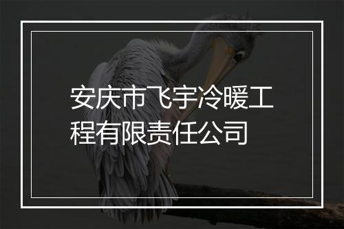 安庆市飞宇冷暖工程有限责任公司