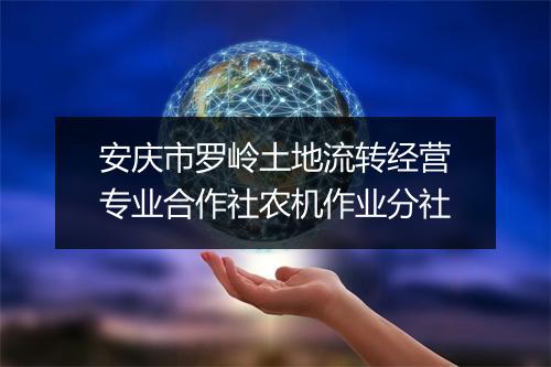 安庆市罗岭土地流转经营专业合作社农机作业分社