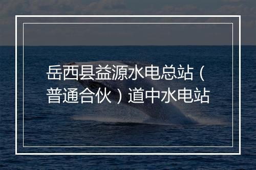 岳西县益源水电总站（普通合伙）道中水电站