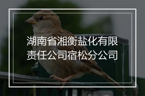 湖南省湘衡盐化有限责任公司宿松分公司