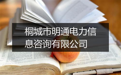 桐城市明通电力信息咨询有限公司