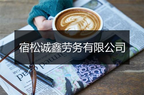 宿松诚鑫劳务有限公司