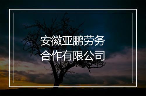 安徽亚鹏劳务合作有限公司