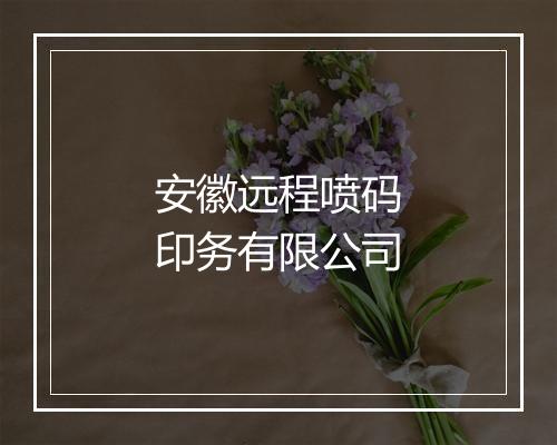 安徽远程喷码印务有限公司